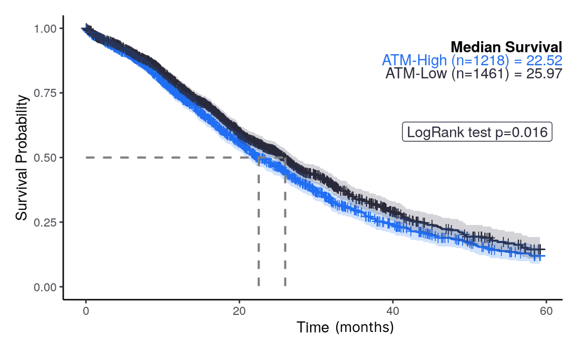 Kaplan-Meier curves show ATM-Low group with better survival probability than ATM-High (p=0.016).