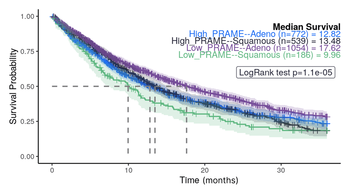 Kaplan-Meier survival curves for four PRAME and histology groups over time.