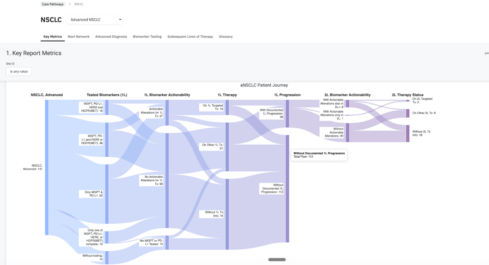 A blue and purple Sankey diagram visualizing key report metrics and data flow.