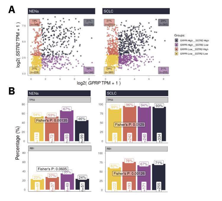 Gene expression scatter plots and bar charts compare AD and RCBC group statistics.