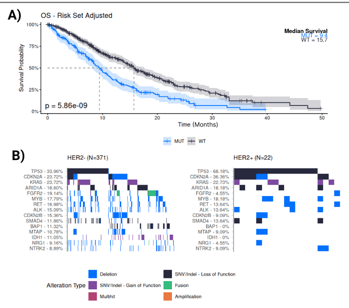 Kaplan-Meier survival curve showing overall survival difference and genetic alteration plots for HER2 subgroups.