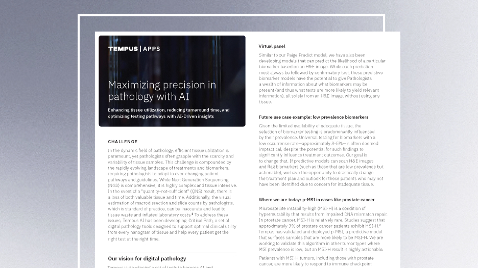 Maximizing Precision in Pathology with AI